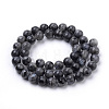 Natural Larvikite Beads Strands X-G-S259-06-12mm-2