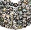 Natural K2 Stone Beads Strands G-K405-B03-8mm-5