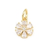 Brass Micro Pave Clear Cubic Zirconia Charms KK-E798-02E-G-1