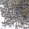 FGB Plated Glass Seed Beads SEED-S019-08C-2