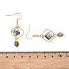 Natural Paua Shell & Stainless Steel Dangle Earrings for Women EJEW-JE07076-02-5