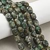 Natural African Turquoise(Jasper) Beads Strands G-P623-A04-01-1