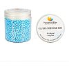 8/0 Round Glass Seed Beads SEED-PH0005-05-4