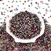Silver Lined Glass Seed Beads SEED-T007-18A-01-2