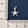 925 Sterling Silver Charms FIND-Z069-04S-A-4