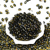 Glass Seed Beads SEED-T009-02C-1