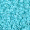 6/0 Luminous Glass Seed Beads SEED-NH0001-01N-4