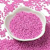 Baking Paint Glass Seed Beads SEED-P006-03A-03-2