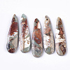 Natural Aqua Terra Jasper Pendants X-G-S366-006F-1