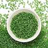 FGB 8/0 Grade A Round Glass Seed Beads SEED-Q007-3mm-F49-5