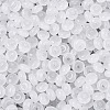 Transparent Glass Seed Beads SEED-Q041-01A-3