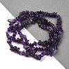 Natural Amethyst Chip Beads Strands G-L607-A01-01-4