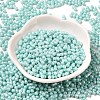 Opaque Colours Luster Glass Seed Beads X1-SEED-B001-01A-08-2