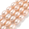 Natural Cultured Freshwater Pearl Beads Strands PEAR-P062-10G-2