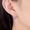 Trendy Tin Alloy Leverback Earrings EJEW-BB20929-A-3