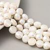 Natural Cultured Freshwater Pearl Beads Strands PEAR-A006-10B-2