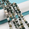 Natural Tree Agate Round Gemstone Beads Strands X-G-R255-6mm-4