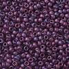 TOHO Round Seed Beads SEED-XTR08-0625F-2
