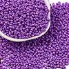 8/0 Baking Paint Glass Seed Beads X1-SEED-M012-02A-40-1