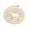 Electroplated Natural Freshwater Shell Beads Strands BSHE-G036-22-2