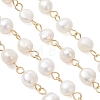 Natural Cultured Freshwater Pearl Link Chains AJEW-JB01585-02-3