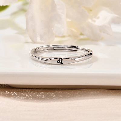 Rhodium Plated 925 Sterling Silver Adjustable Rings RJEW-S397-01P-07-1