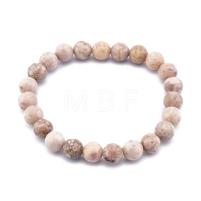 Natural Maifanite/Maifan Stone Bead Stretch Bracelets BJEW-K212-B-044-1