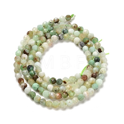 Natural Serpentine Beads Strands G-B107-A05-03-1