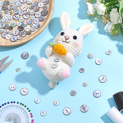 80Pcs 5 Styles 2-Hole Shell Buttons BUTT-ME0001-44-1