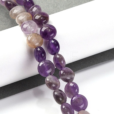 Natural Amethyst Beads Strands G-T047-A04-01-1