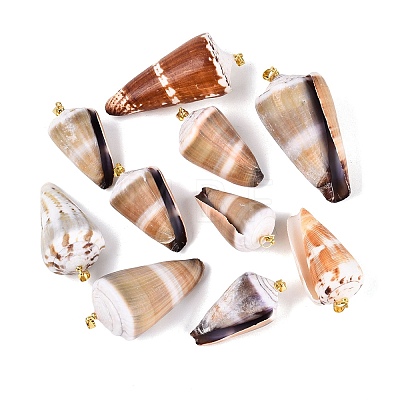 Brass & Natural Cone Shell Pendants SHEL-Q029-20-02KCG-1