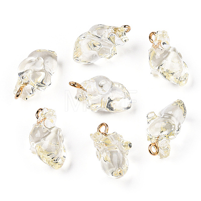 Transparent Resin Pendants RESI-E028-01G-09-1