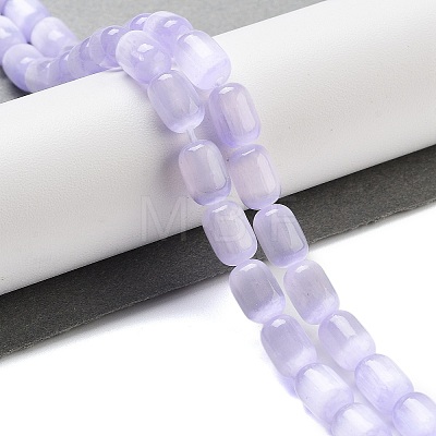 Natural Selenite Beads Strands G-F750-B-06-1