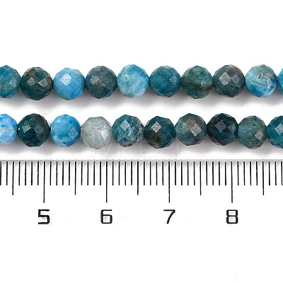 Natural Apatite Beads Strands X-G-F770-C02-02-1
