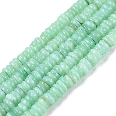 Natural Freshwater Shell Beads Strands SHEL-Q028-01F-1