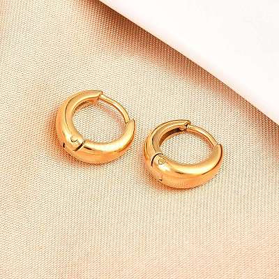 316 Surgical Stainless Hoop Earrings LS-EJEW-C160-06B-G-1