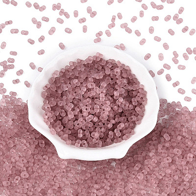 FGB Frosted Transparent Glass Seed Beads SEED-N013-06A-06-1