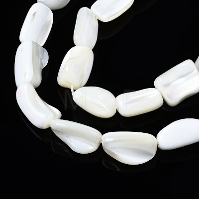 Natural Trochid Shell/Trochus Shell Beads Strands SSHEL-S266-014A-1