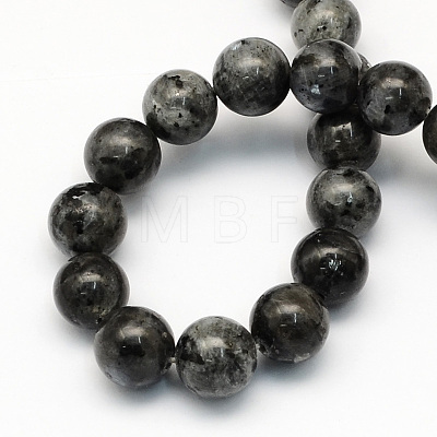 Natural Larvikite Round Beads Strands G-S159-4mm-1