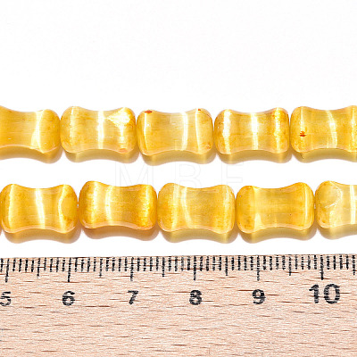 Dyed Natural Selenite Beads Strands G-T138-234C-1