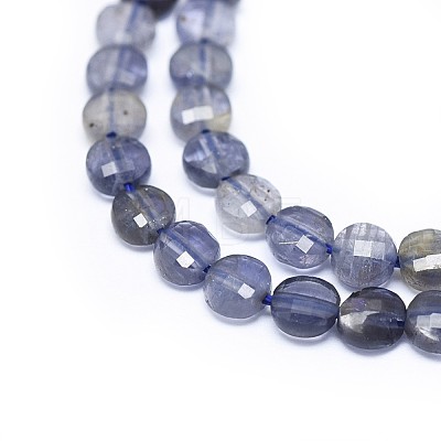 Natural Iolite Beads Strands G-I249-A04-1