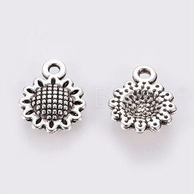 Tibetan Style Alloy Charms X-LF10257Y-NF-1