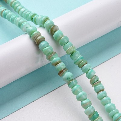 Natural Cultured Freshwater Shell Beads Strands SHEL-F002-01C-1