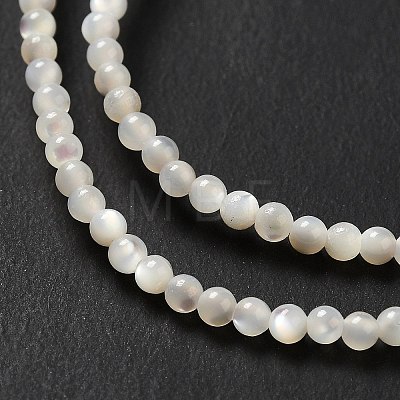 Natural White Shell Beads Strands SHEL-G014-14-1