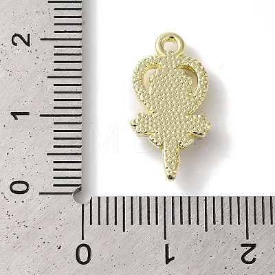 Rack Plating Alloy Pendants FIND-I039-008G-01-1