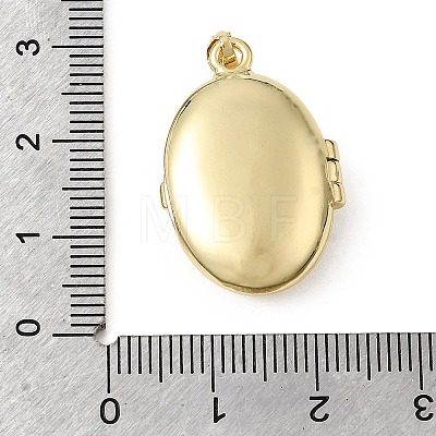 Brass Micro Pave Clear Cubic Zirconia Locket Pendants KK-L262-03G-1