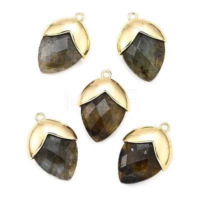 Natural Labradorite Pendants G-U019-03B-07-1
