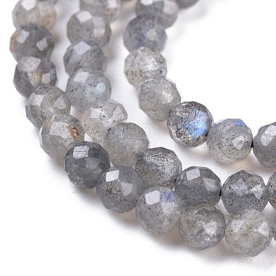 Natural Labradorite Beads Strands X-G-R475-025C-1