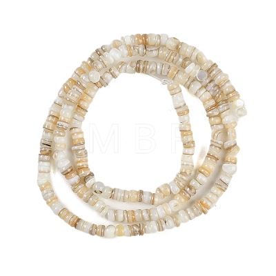 Natural Freshwater Shell Beads Strands BSHE-H109-13A-1