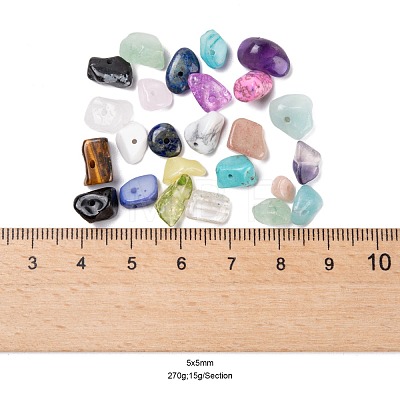 270G 18 Style Natural & Synthetic Gemstone and Shell Chip Beads G-FS0001-25-1